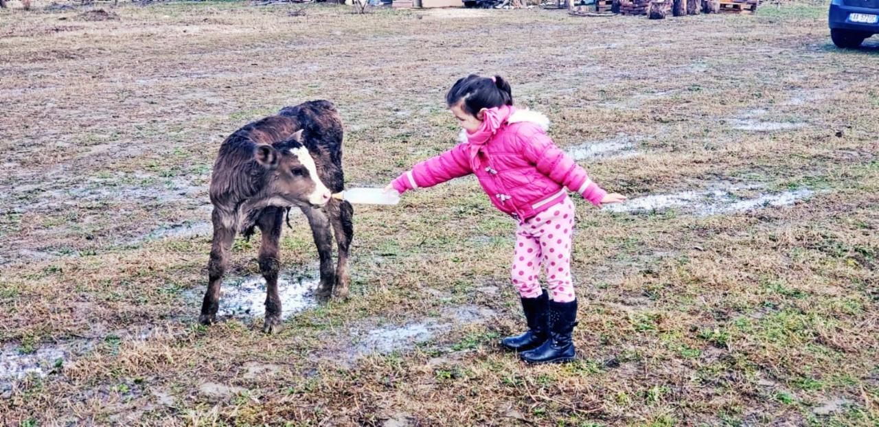 Life On The Farm Hotel Nepravishte Екстериор снимка