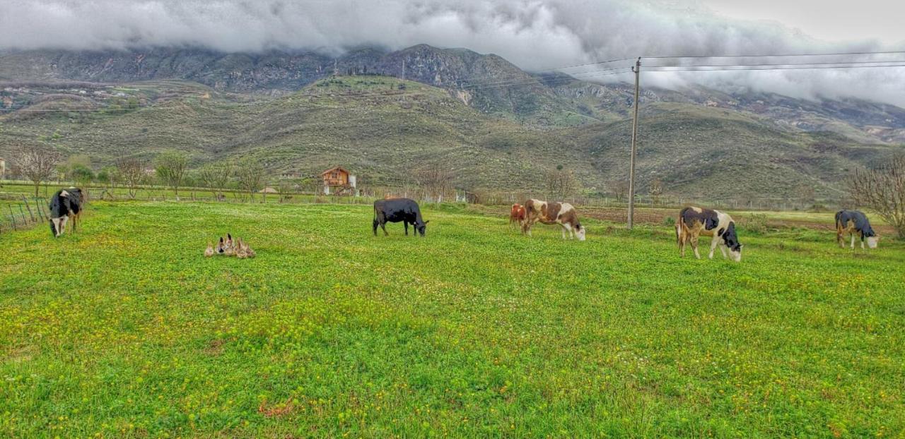 Life On The Farm Hotel Nepravishte Екстериор снимка