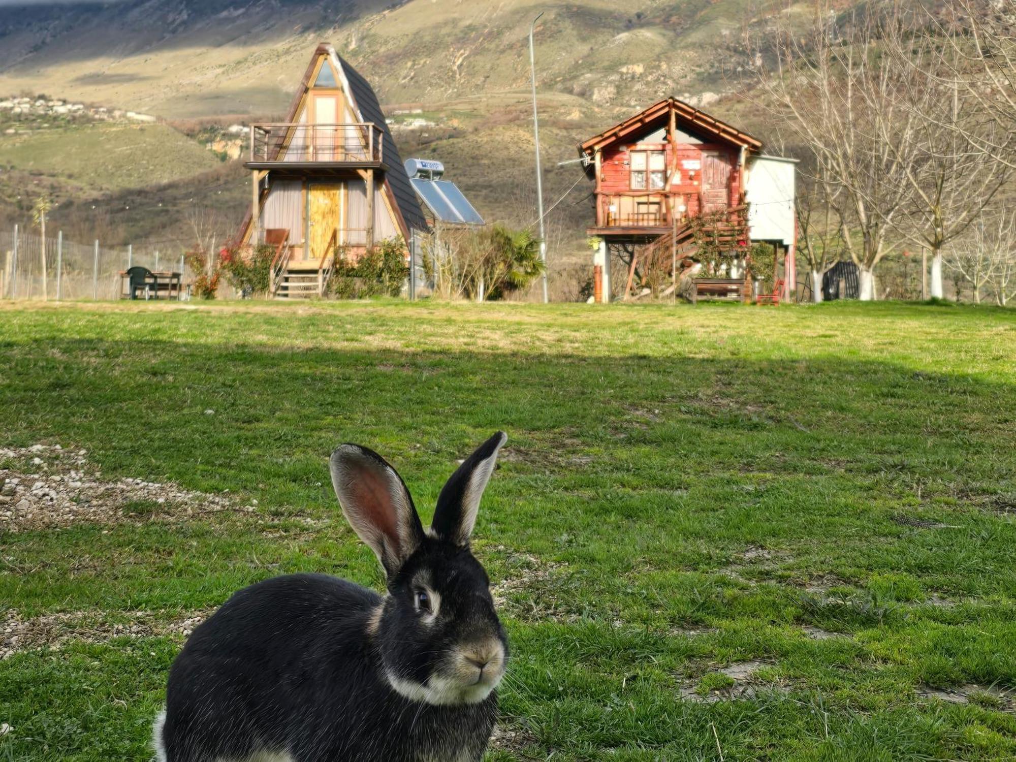 Life On The Farm Hotel Nepravishte Екстериор снимка